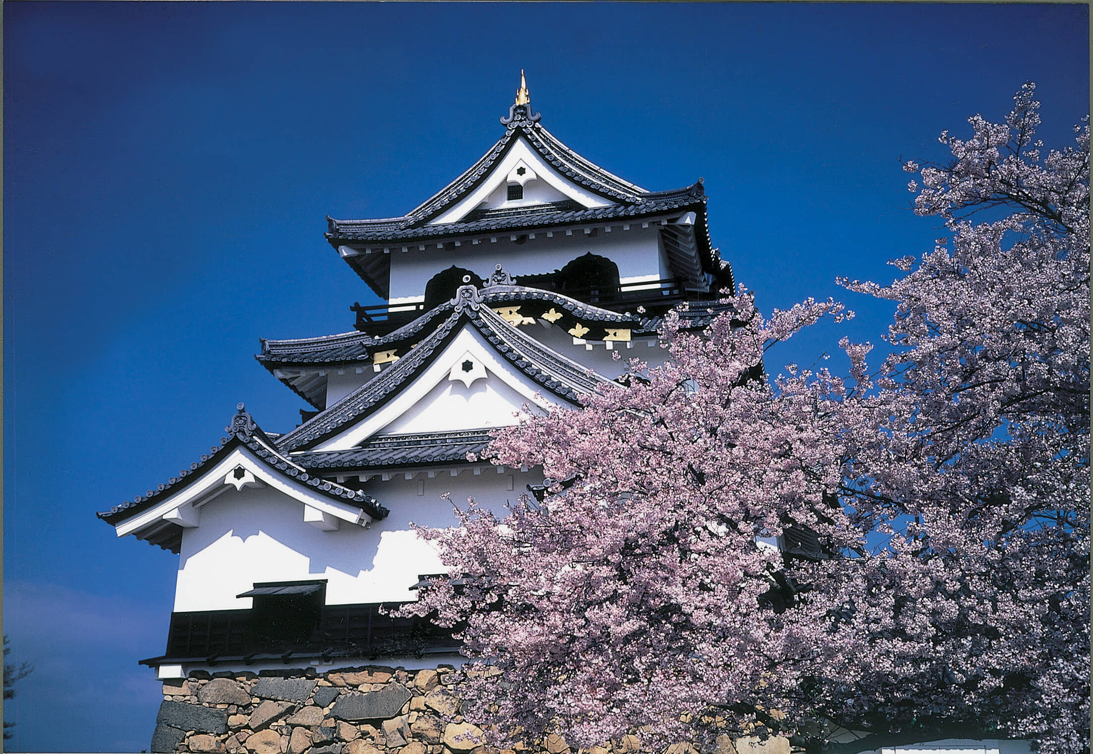 Viaggio nel Kansai, tra spiritualità e gastronomia nel cuore del Giappone